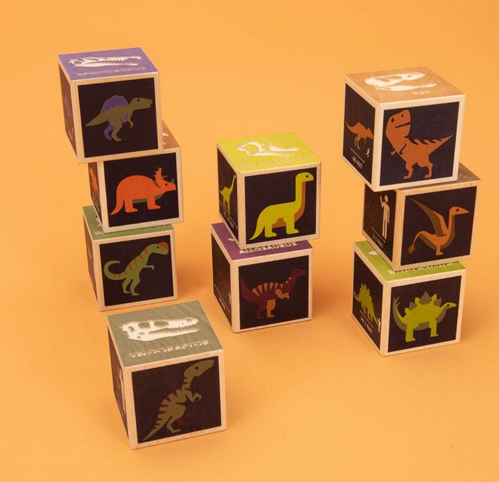 Wooden Discovery Blocks