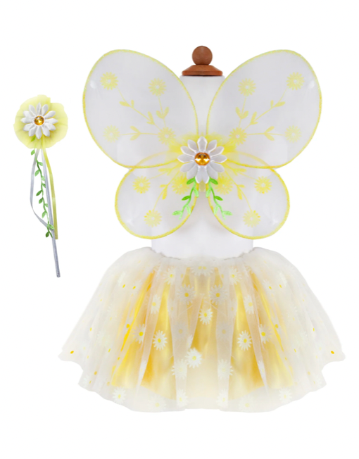 Tutu Skirt & Wings Set