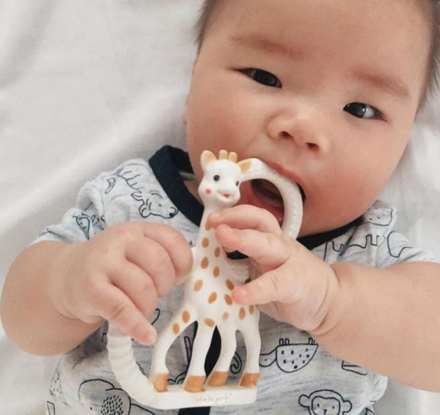 Sophie la Girafe - Teether Ring